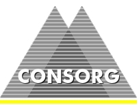 CONSORG - Business Intelligence